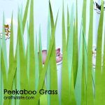 Peekaboo Grass Craft