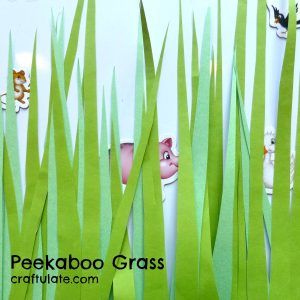 Peekaboo Grass Game