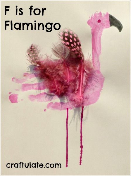 F is for Flamingo