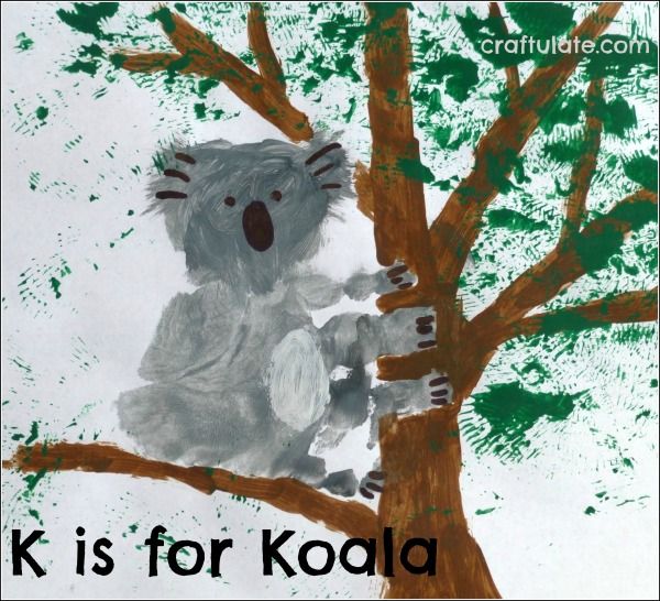 K is for Koala