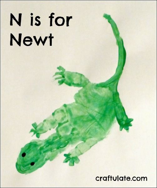 N is for Newt