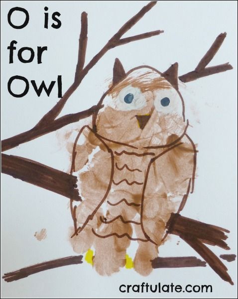 O is for Owl