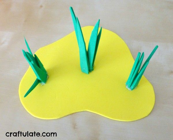 Tropical Island Water Table