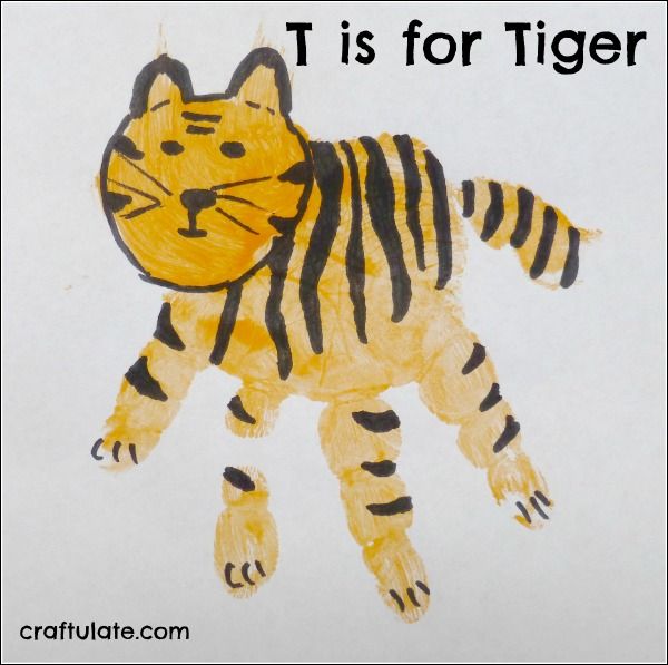 T is for Tiger