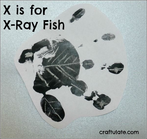 X is for X-ray Fish
