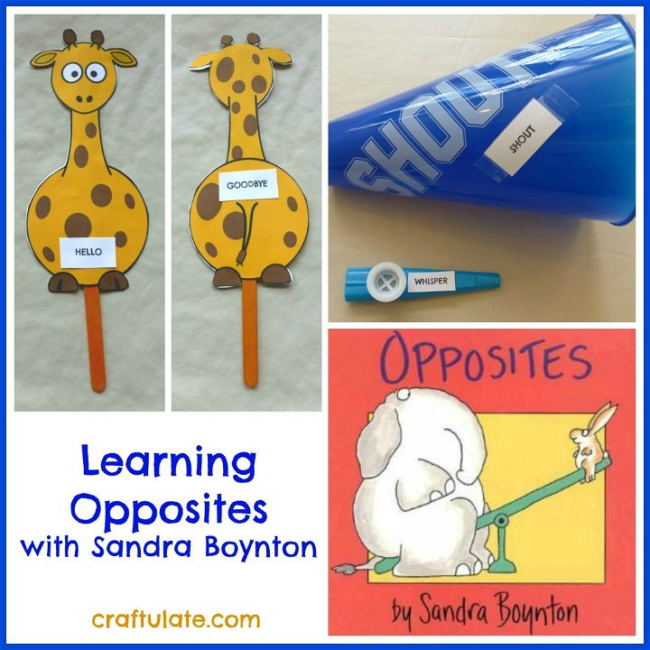 Learning Opposites with Sandra Boynton