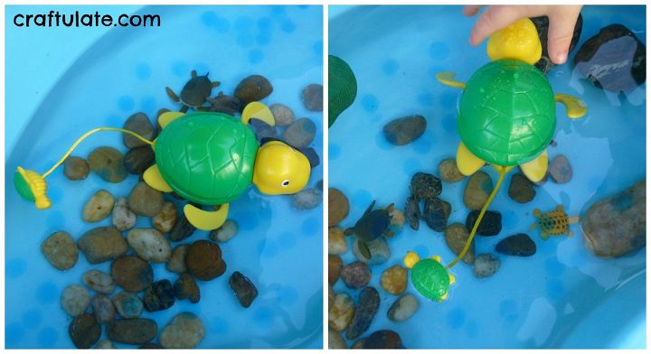 Turtle Themed Water Table
