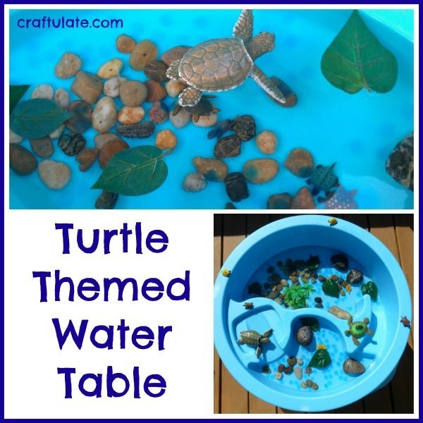 Turtle Themed Water Table - sensory play fun!