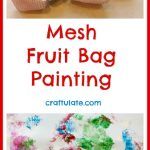 Mesh Fruit Bag Painting