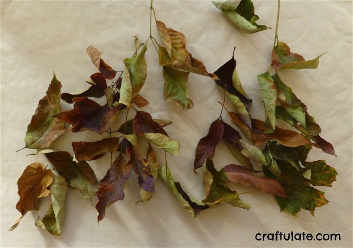 Preserved Leaf Wreath