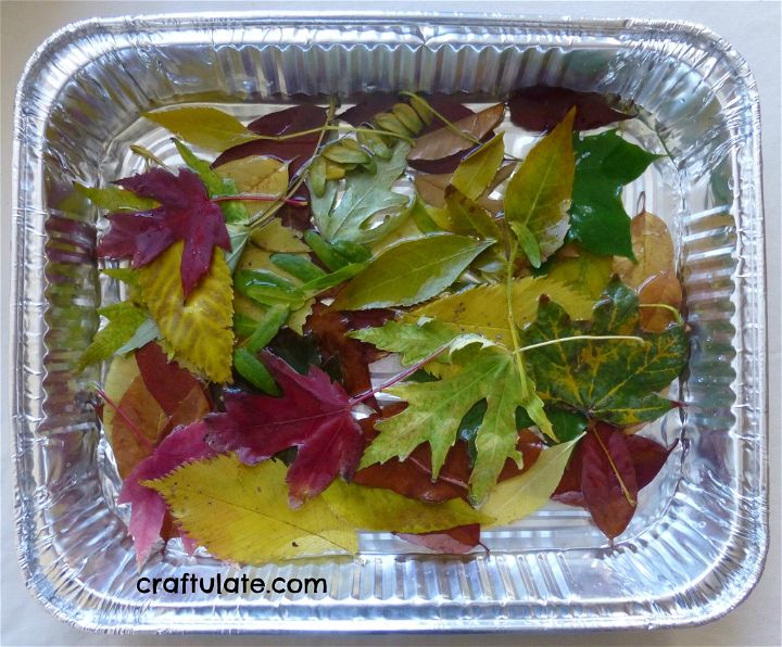 Preserved Leaf Wreath