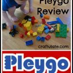 Pleygo Review