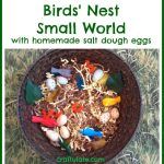 Birds’ Nest Small World