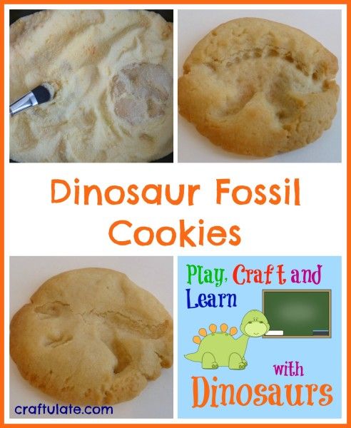 Dinosaur Fossil Cookies