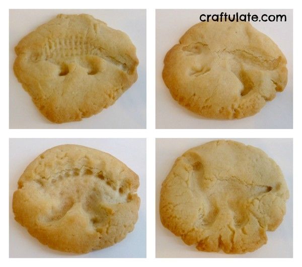 Dinosaur Fossil Cookies