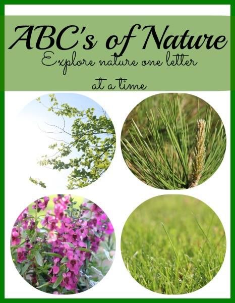 ABCs of Nature