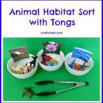 Animal Habitat Sort with Tongs