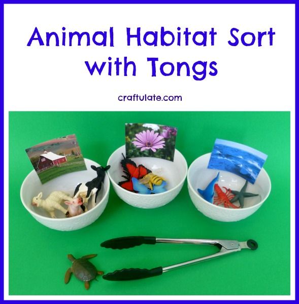 Animal Habitat Sort with Tongs