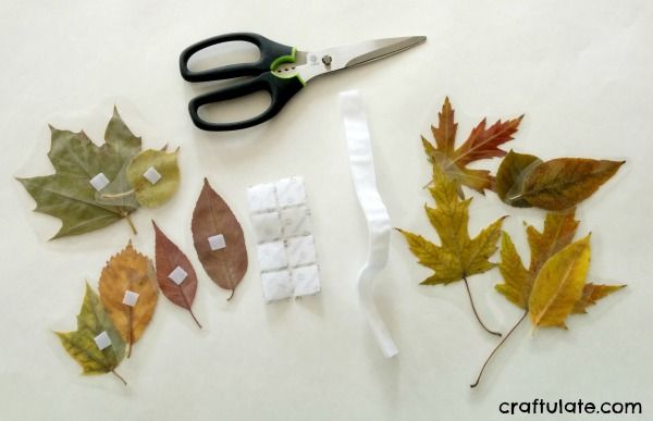 Real Leaf Sorting Activity Board