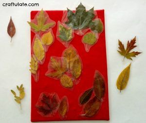 Real Leaf Sorting Activity Board - Craftulate