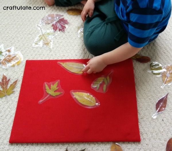 Real Leaf Sorting Activity Board