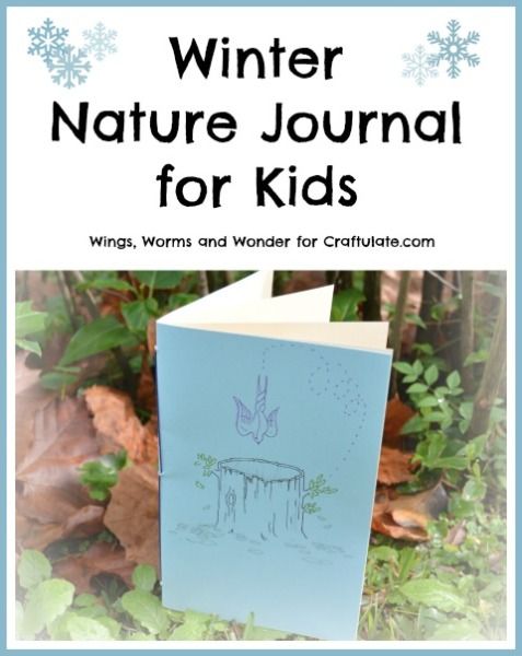 Winter Nature Journal for Kids