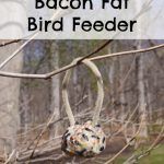 Bacon Fat Bird Feeder