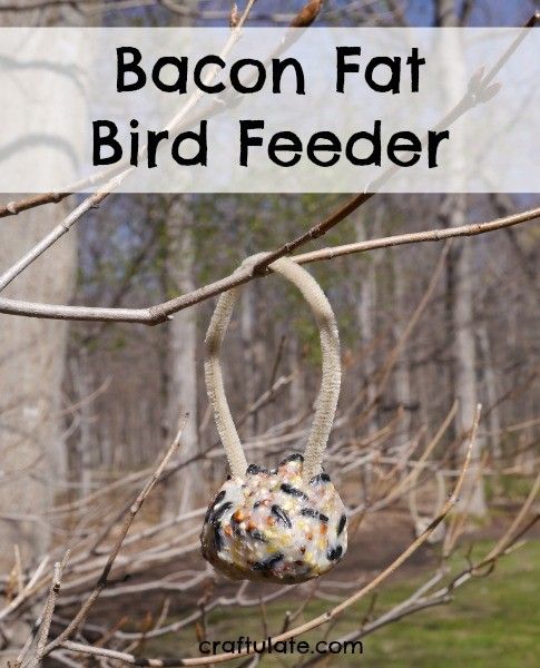 Bacon Fat Bird Feeder from Craftulate