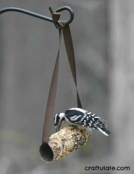 Cardboard Tube Bird Feeder - kids will love making this easy craft!