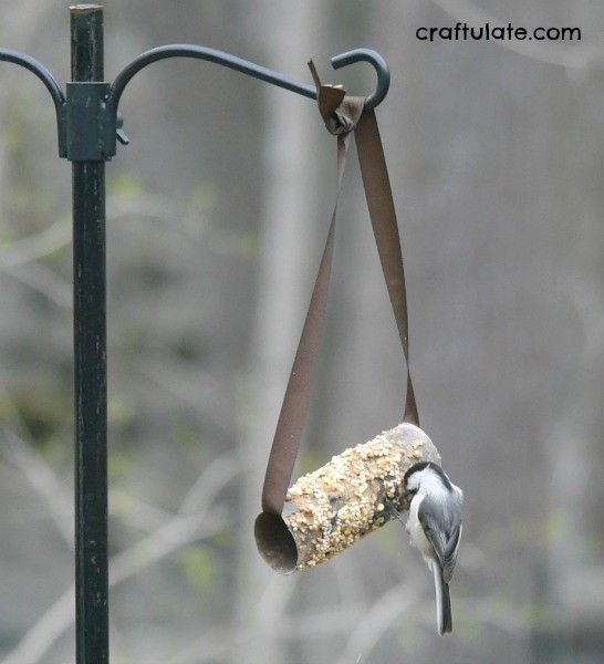 Cardboard Tube Bird Feeder - kids will love making this easy craft!