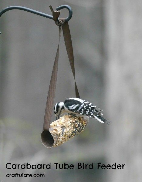 Cardboard Tube Bird Feeder - kids will love making this easy craft!