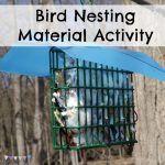Bird Nesting Material Activity