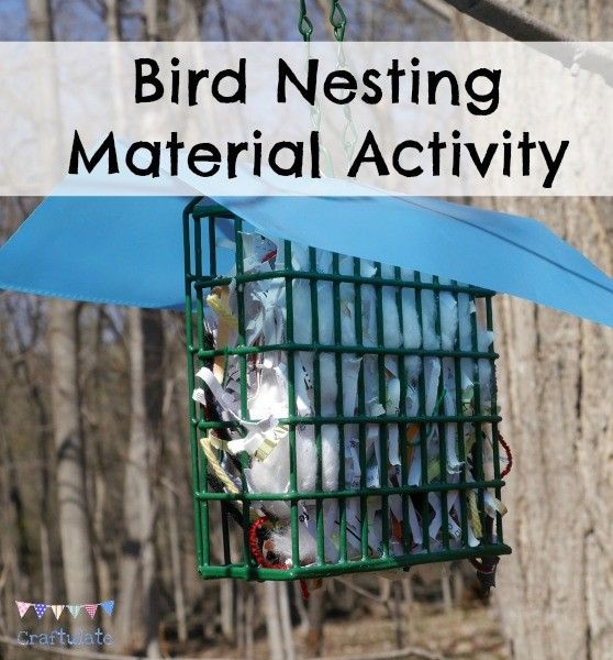 Bird Nesting Material Activity from Craftulate - help birds build their nests!