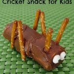 Cricket Snack for Kids