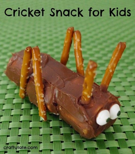 Cricket Snack for Kids - so cute!
