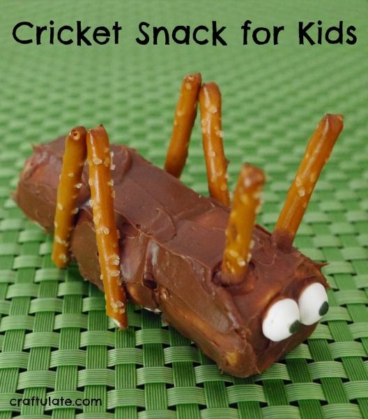 Cricket Snack for Kids - Craftulate