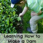 Learning How to Make a Dam