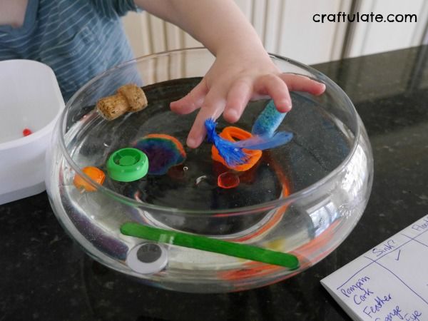 Sink or Float Experiment with Craft Materials