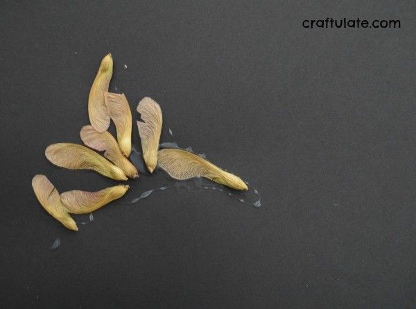 Maple Seed Art for Kids