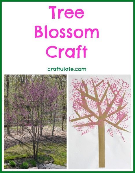 Tree Blossom Craft - a great spring craft!
