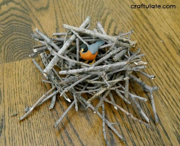 Building Nests