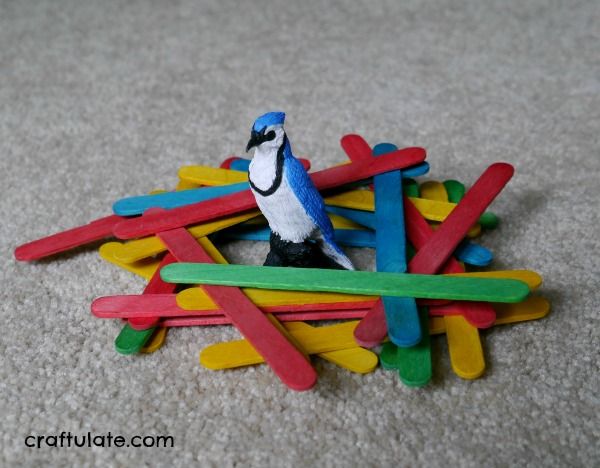 Building Nests