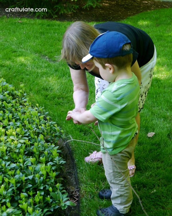 Build a Dam and Explore Water Flow, Crafts…