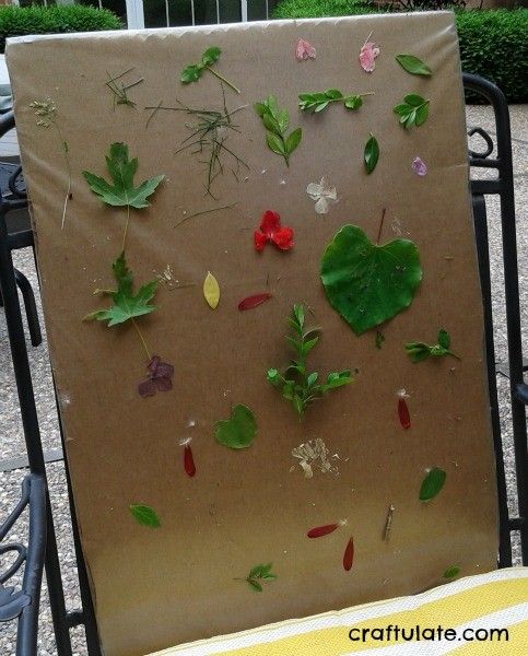 Take a nature walk. Then create a collage on self-adhesive clear contact  paper.