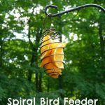 Spiral Bird Feeder