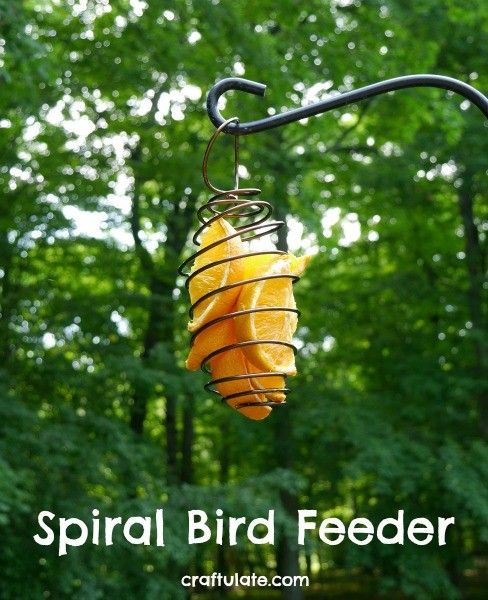 Spiral Bird Feeder - perfect for orange slices!