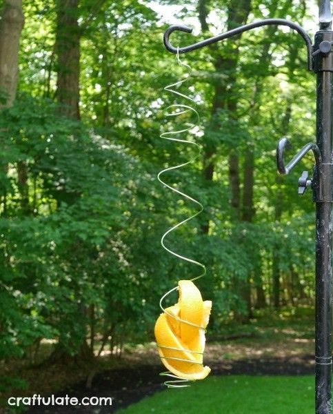 Spiral Bird Feeder