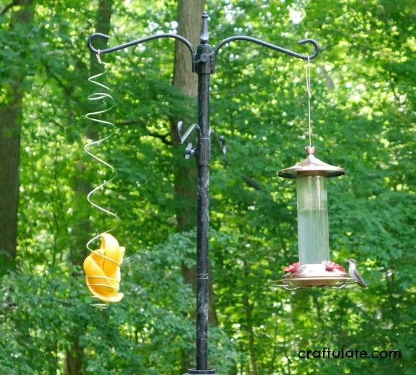 Spiral Bird Feeder