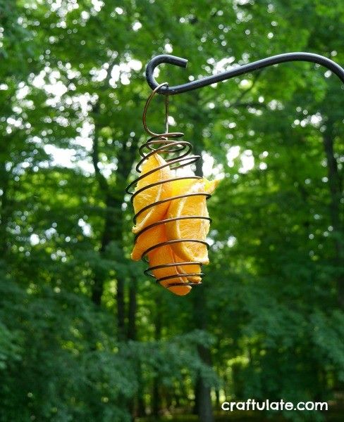 Spiral Bird Feeder