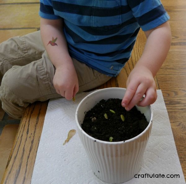 Maple Seed Art for Kids